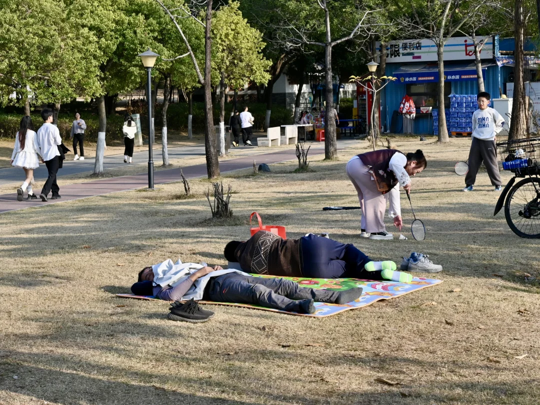 这才是公园该有的样子！