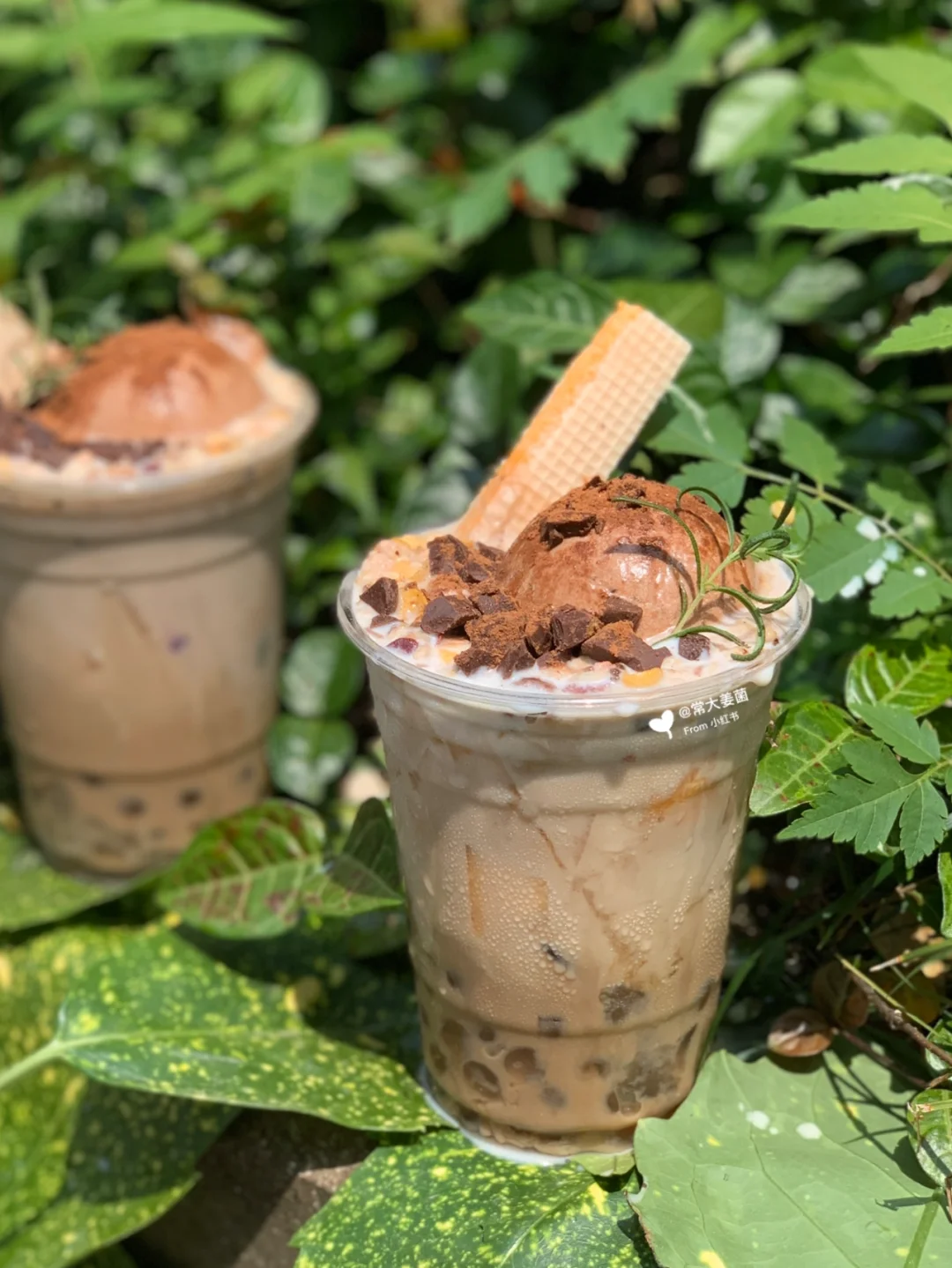 🧂海盐榛子黑巧雪顶奶茶🇮🇹手工冰激凌配方