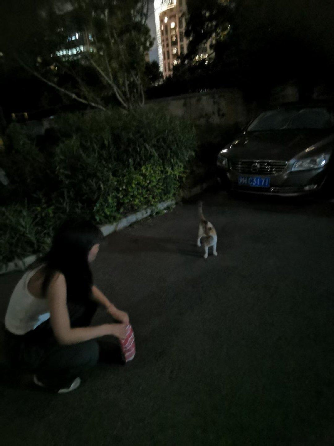 回国半年来 妈妈镜头下的我

奇怪 明明每次都不打扮的 还是mate20拍的 但能把我状态拍好一个度！ ​