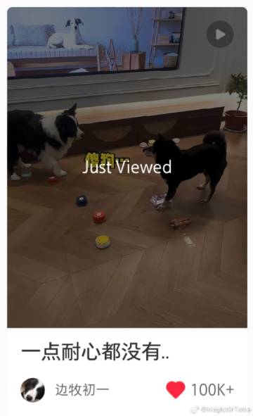 万万没想到老地瓜给我推了家产<br />已循环播放🔁……