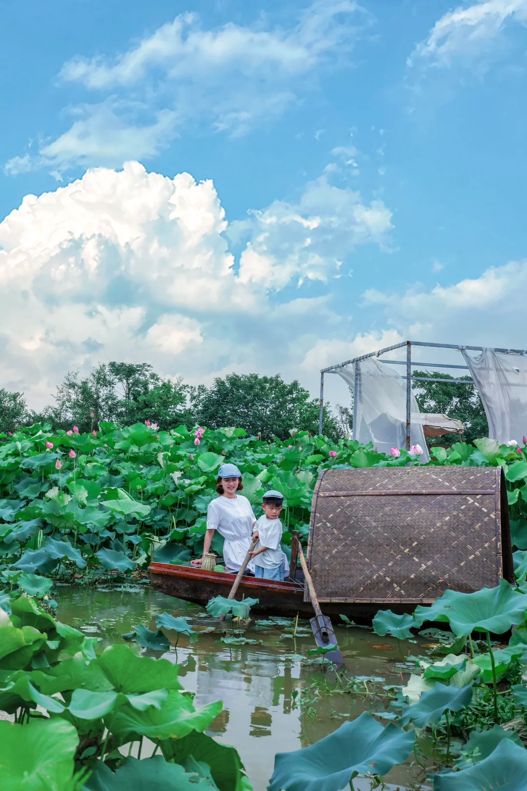 巨新‼️武汉划乌篷船赏荷花🪷采摘莲蓬西瓜🍉