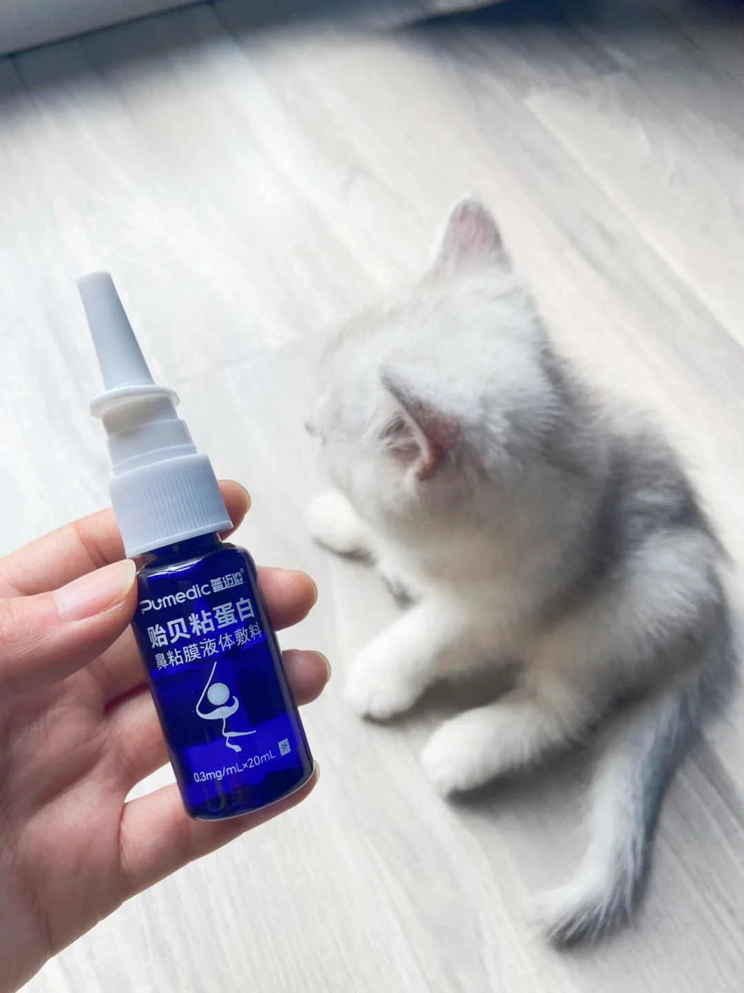 求求啦！大数据推给所有家里养猫的！