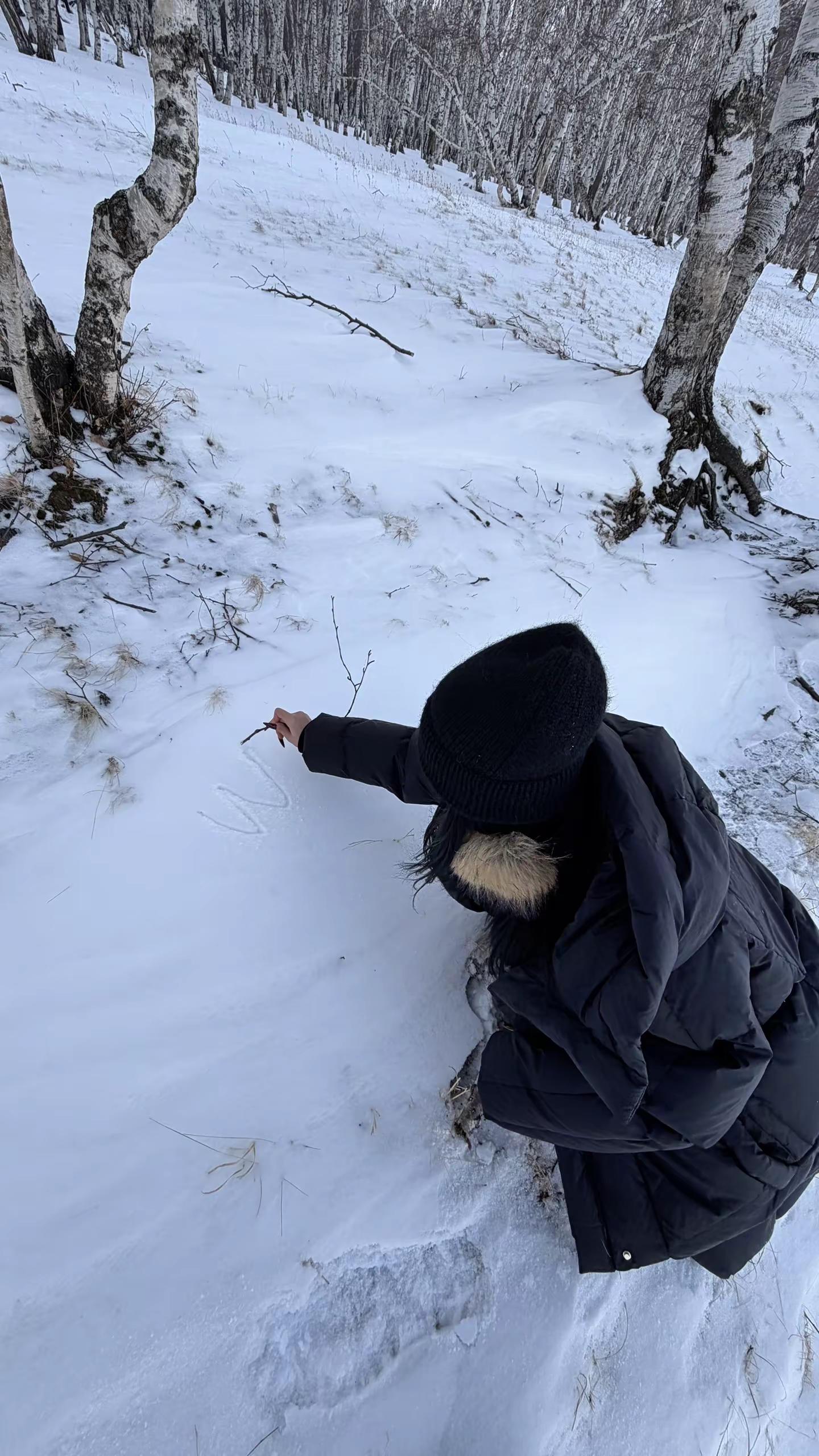 <p><!--{img:0}--><!--{img:1}--><!--...