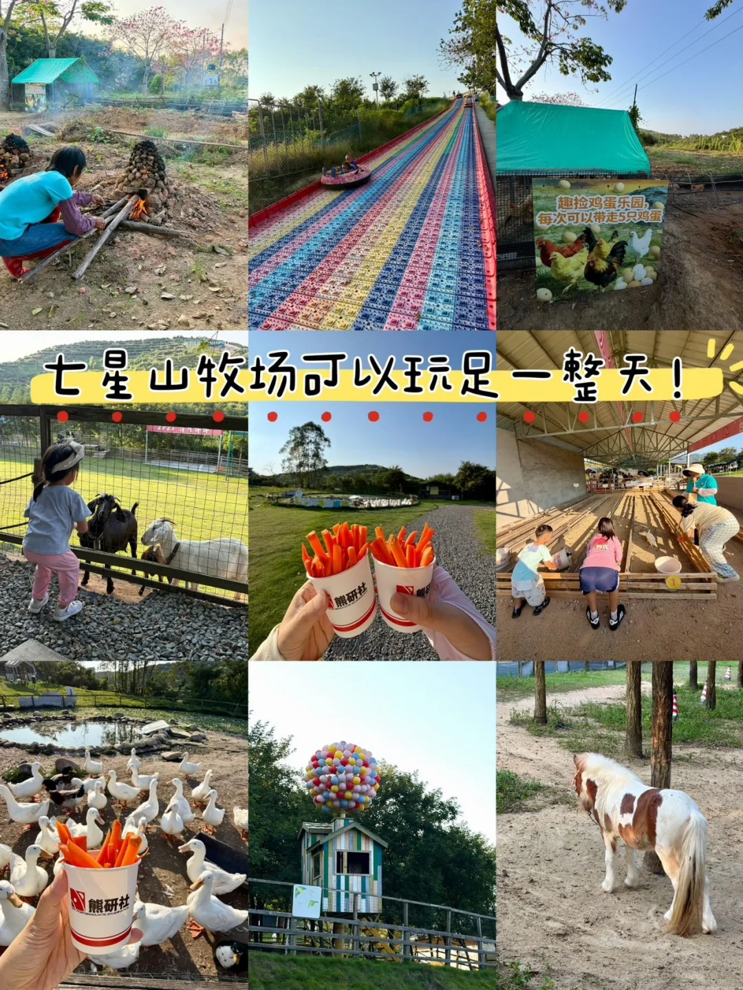 江门中秋遛娃｜七星山牧场可以玩足一整天！