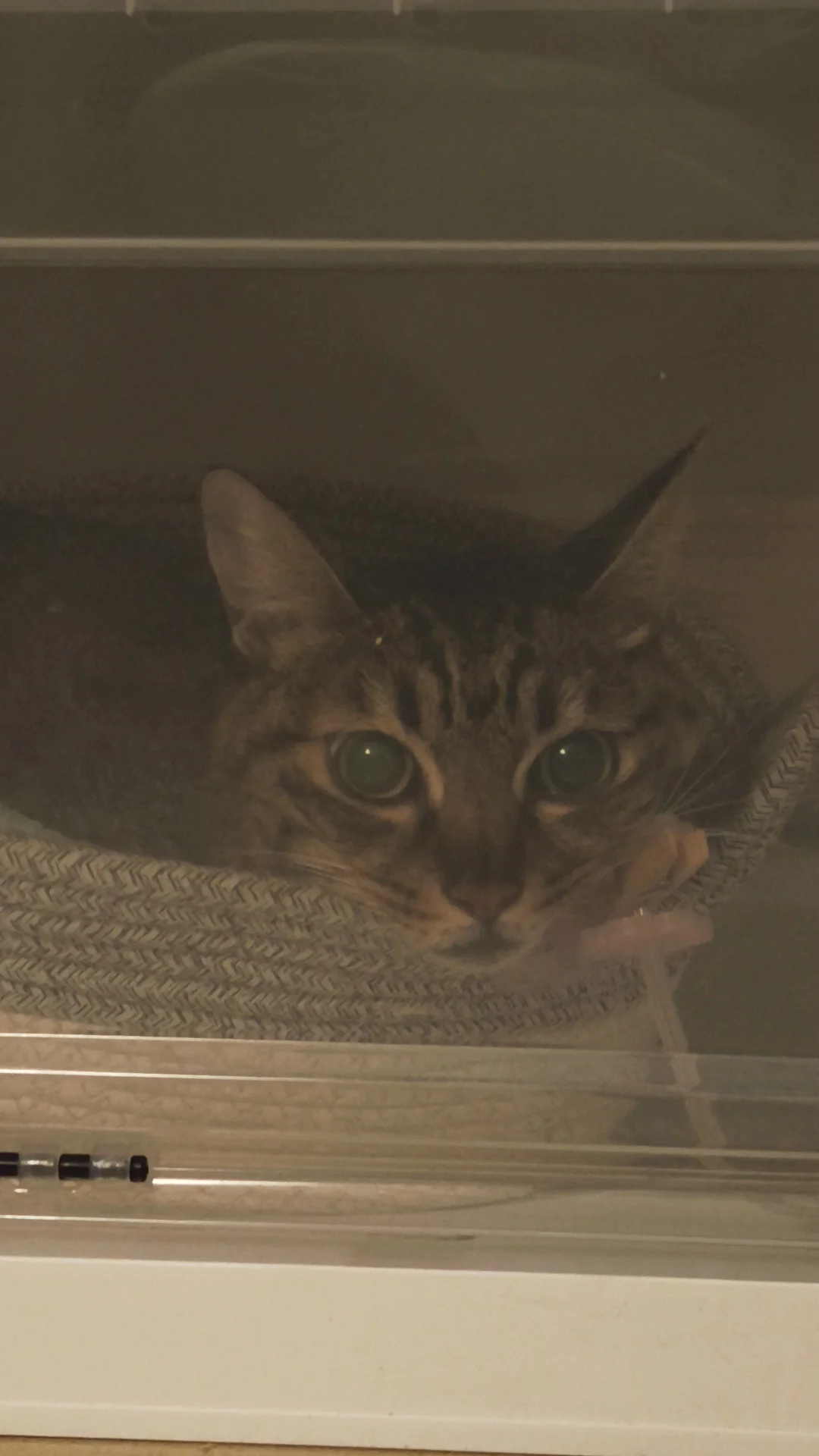 终其一生我都会活在，是我先放手的罪疚感里