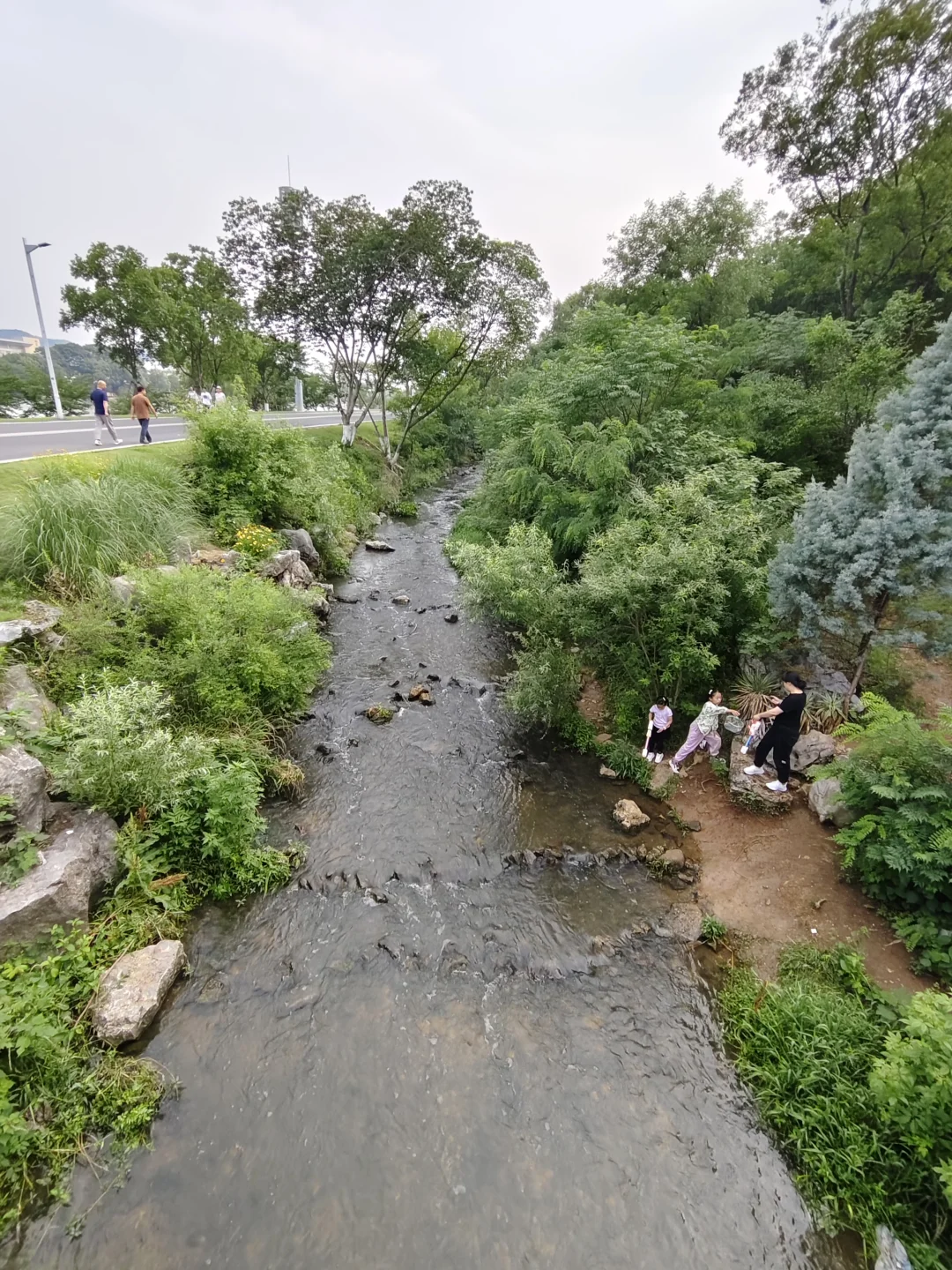📍7月南京羊山湖公园夏日溯溪玩水好去处