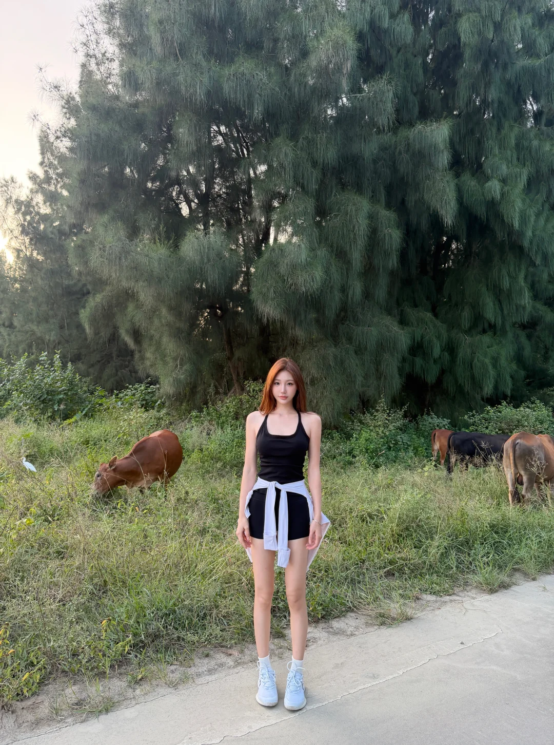 有牛有马的户外 （我是🐎）