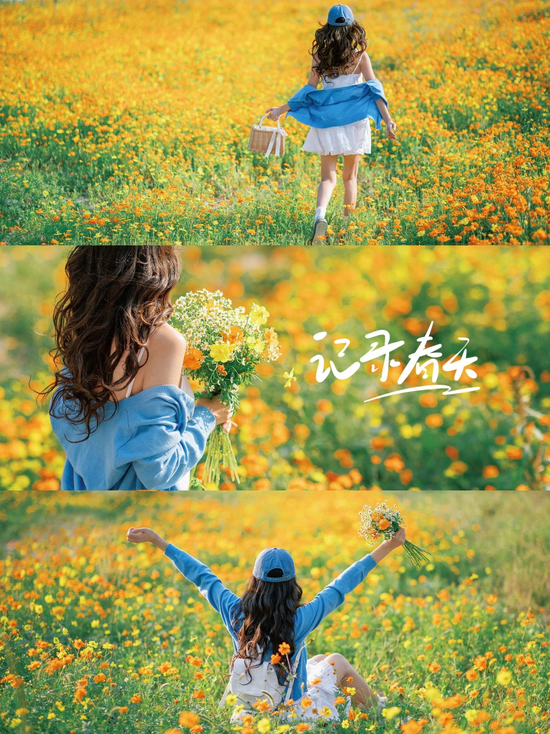 春天公园花海氛围感拍照|附滤镜调色教程