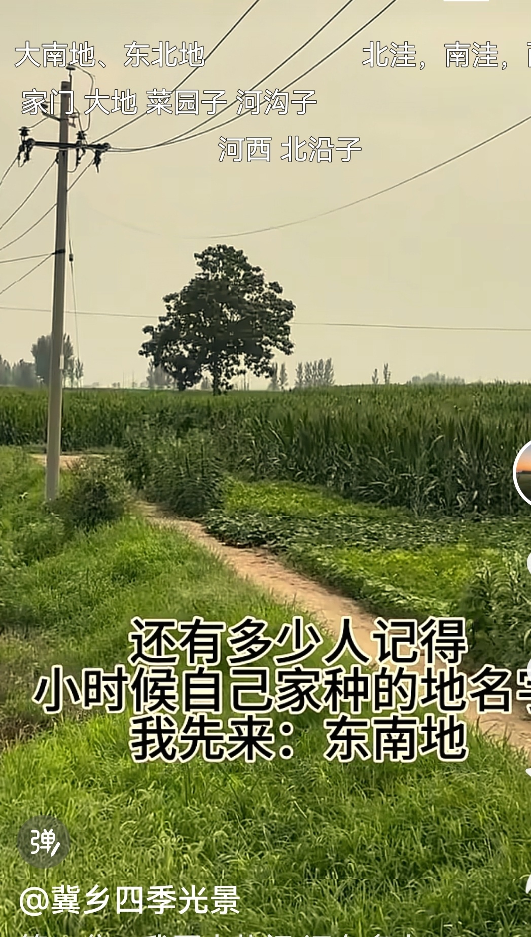 【你家小时候种的地，叫什么名字？】#土地[超话]##乡村[超话]##乡村回忆# 

这个话题瞬间让我回到了少年时代

西地，白碱地，菜地，南洼，大块地，冢上地。
​
​我的记忆力还不错。
​
​这个西地是我去的次数最少的，因为只有一两年有这个地，但是印象却比较深。

因为好朋友家的地也在这里，往年我 ​