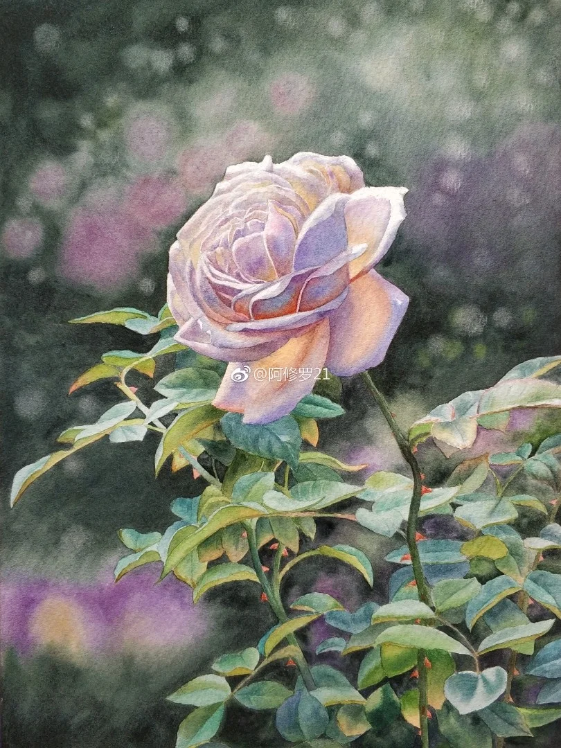 水彩。临摹黄有维老师的玫瑰。叶子可真多哎……