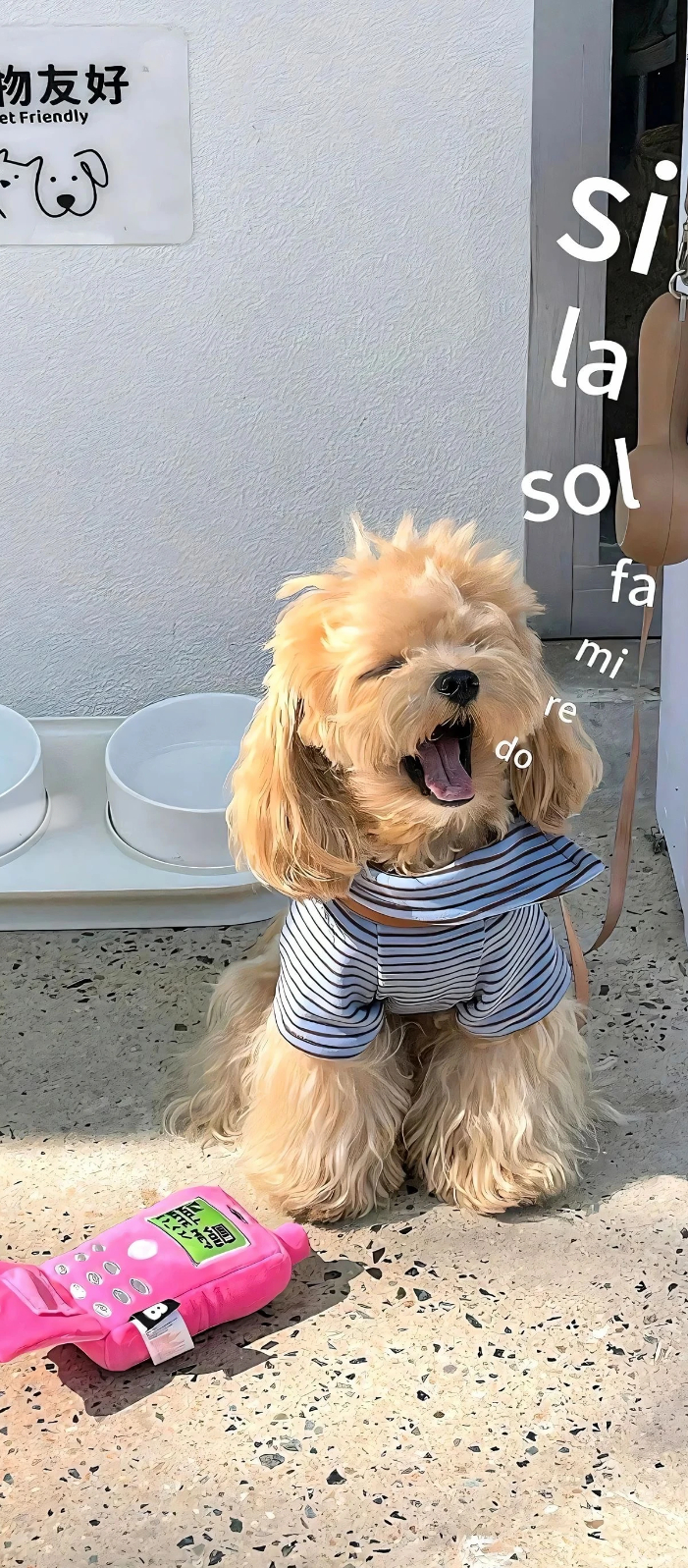 0000
🐶︱可爱小狗搞怪头像︱小狗头像壁纸 | 小狗怼脸照| WeChat头像 | 搞怪头像 | 梗图 | 萌物分享| 狗meme | 审美积累 | 低质量狗图| 小奶狗｜高质量头像︱逗比小狗头像︱小狗头像分享︱最喜欢小狗了︱小狗狗最可爱☺
壁纸分享/Wechat背景图/背景图/聊天背景图/壁纸套图/iPhone壁纸/审美积累/手机 ​