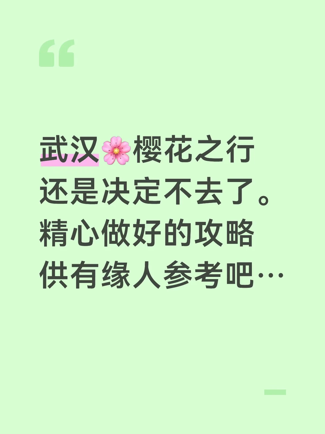 本J人做的武汉樱花🌸攻略已经是next level