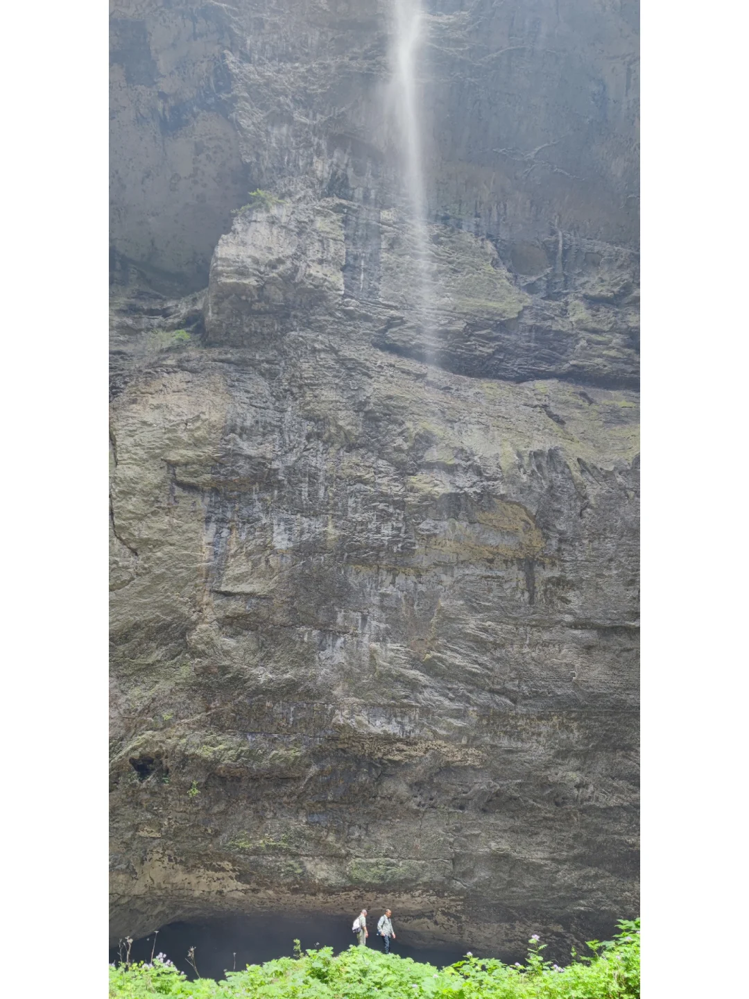 有的人好像挺有头有脸，但为40块钱脸都不要