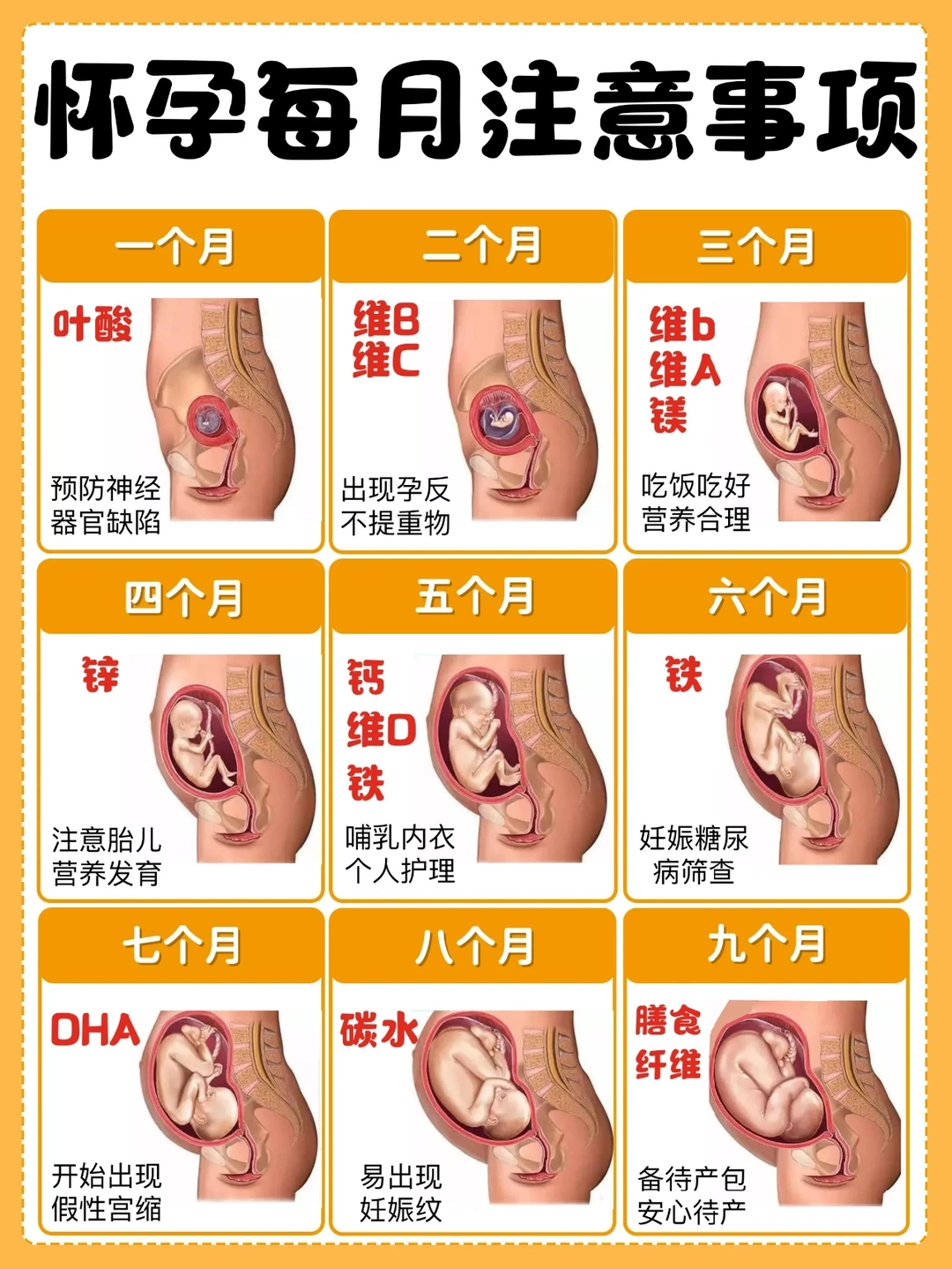孕妈收藏㊙️每月营养补充+注意事项👍