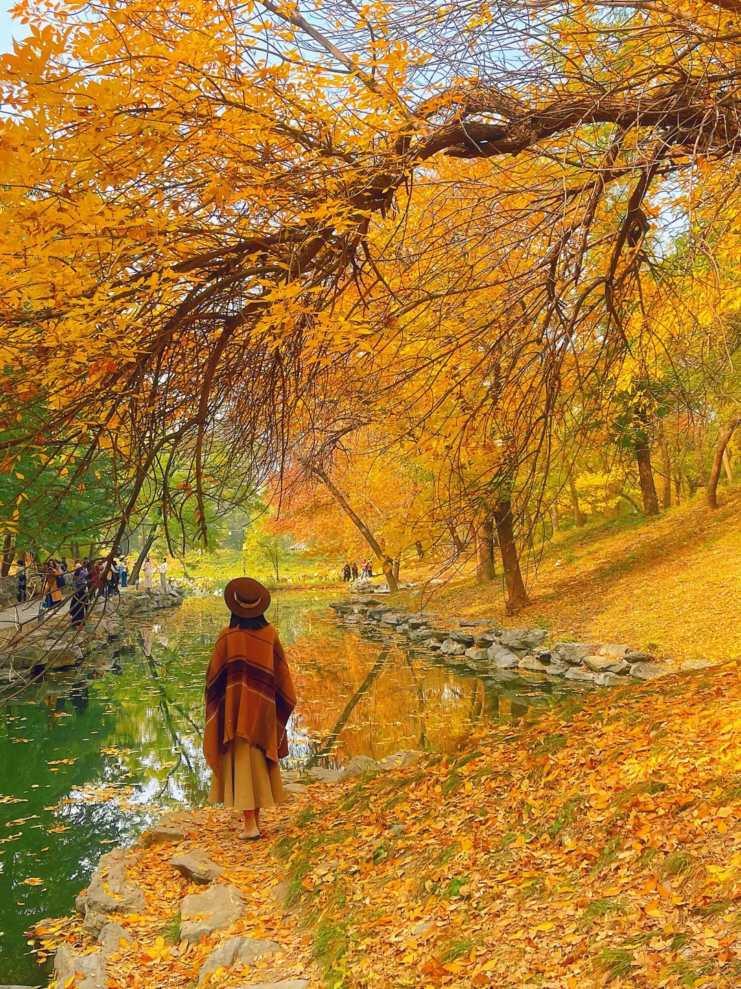 左滑老舍先生笔下封神级的北京秋天📍圆明园