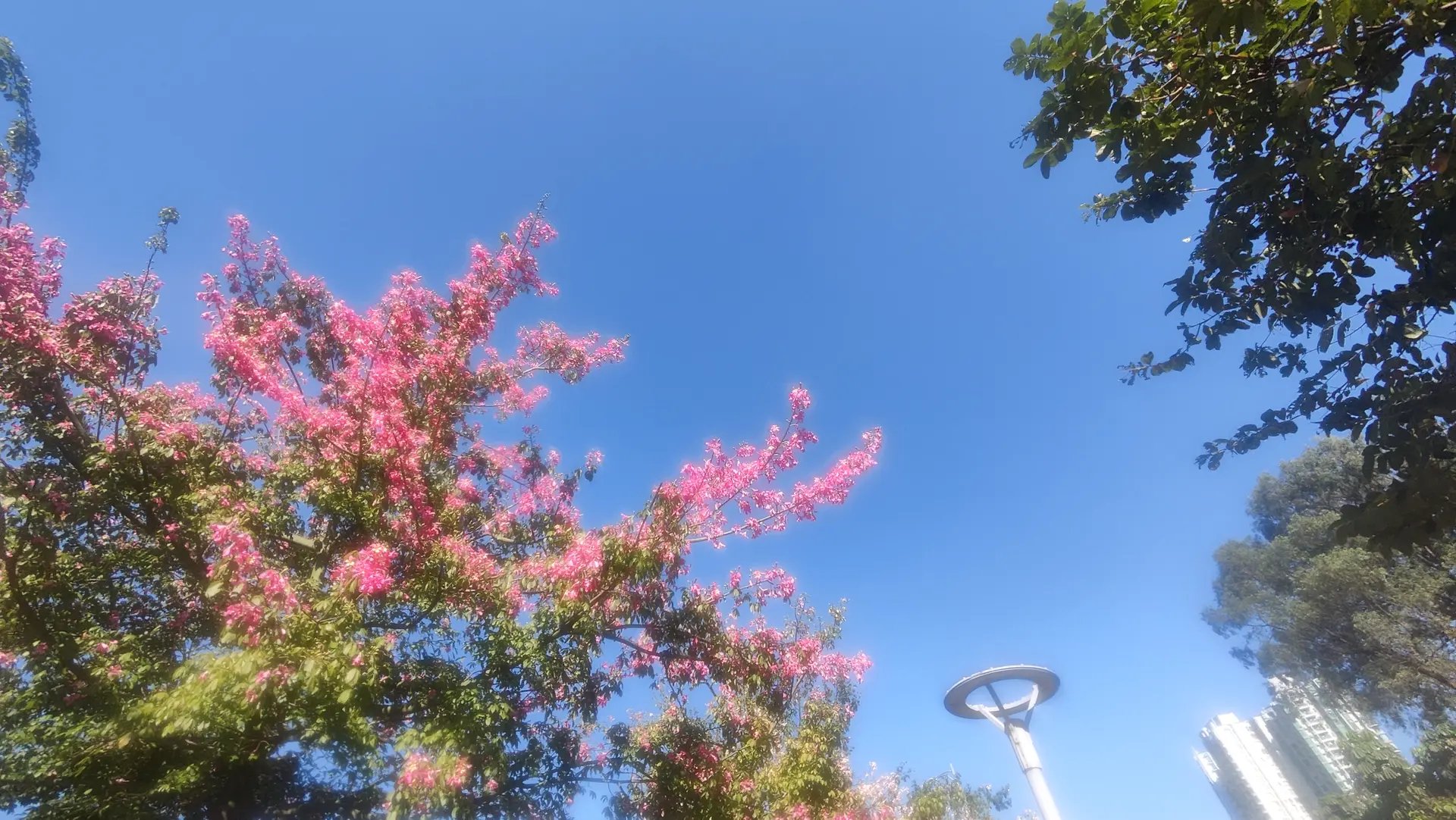 十一月之美。天河公园