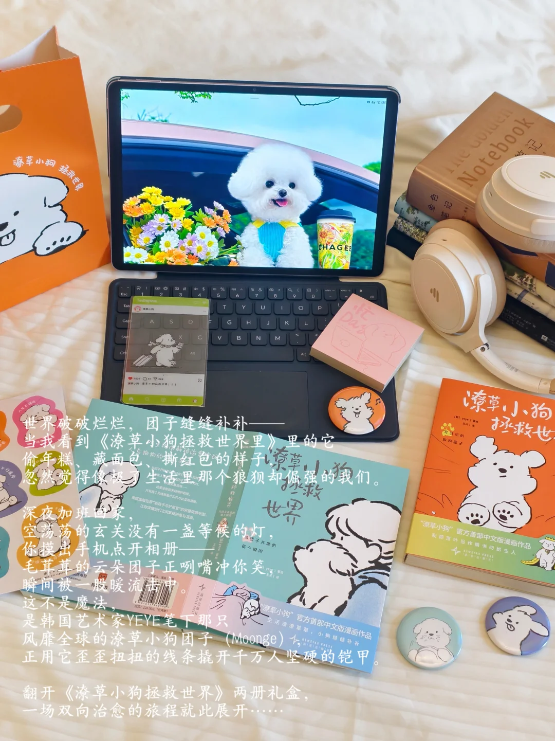 毛孩子能有什么坏心思呢？它只想治愈你罢了