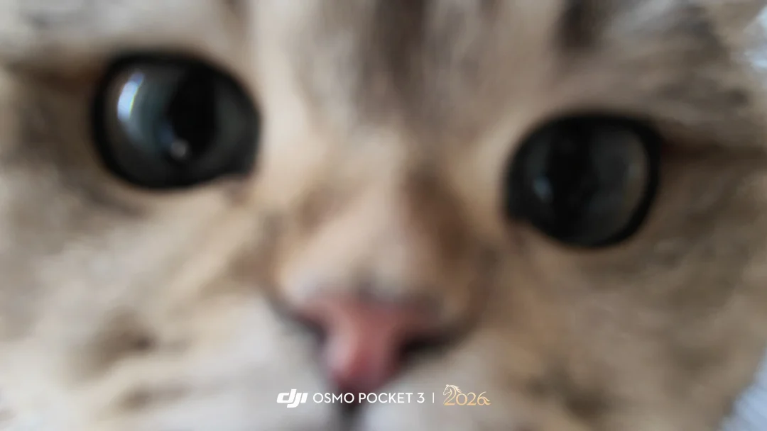 新年快乐🎊🍾