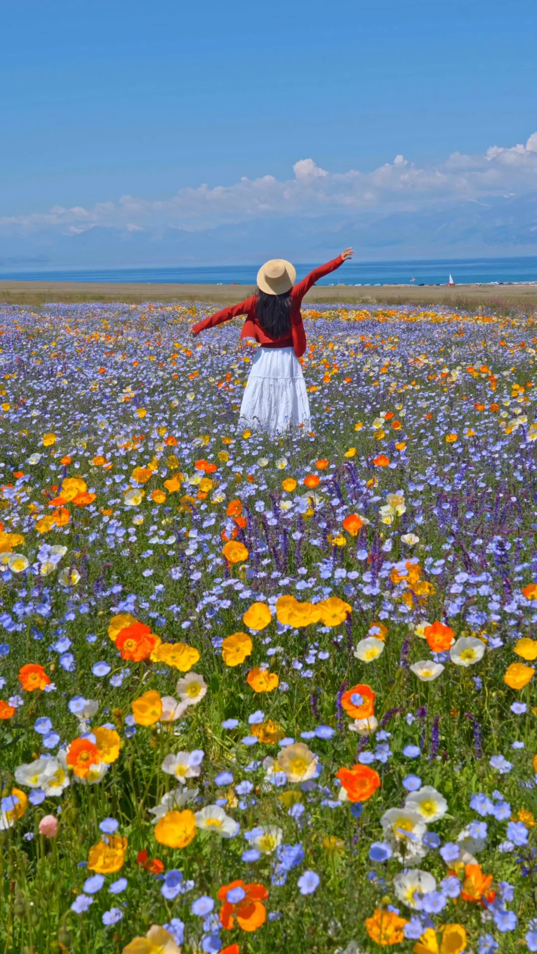 live图，2025年留下的难以复制的瞬间