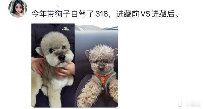 果然任何生物都受不了舟车劳顿 ​​​