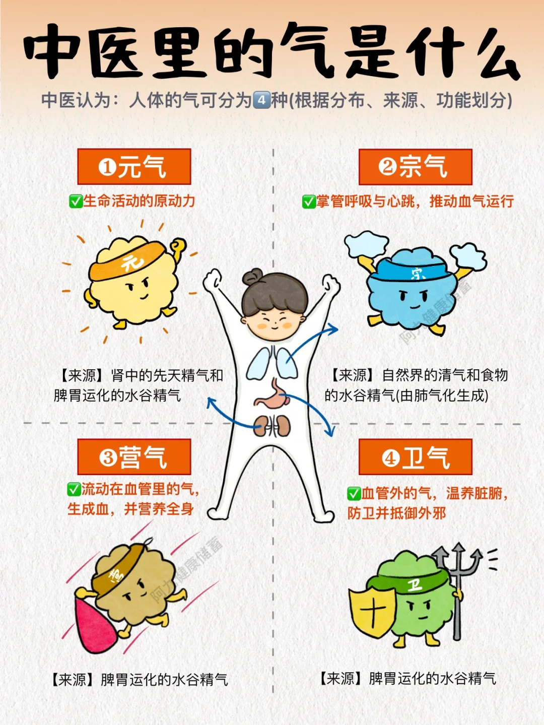 终于懂了气是什么❗️夏天易气虚，补气很关键