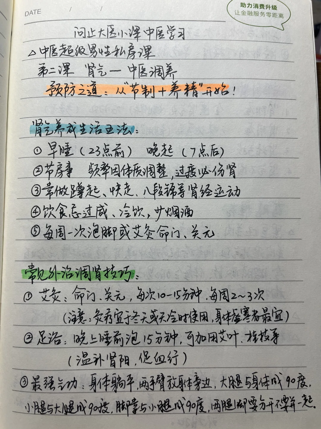 中医学习笔记之～肾气中医调养