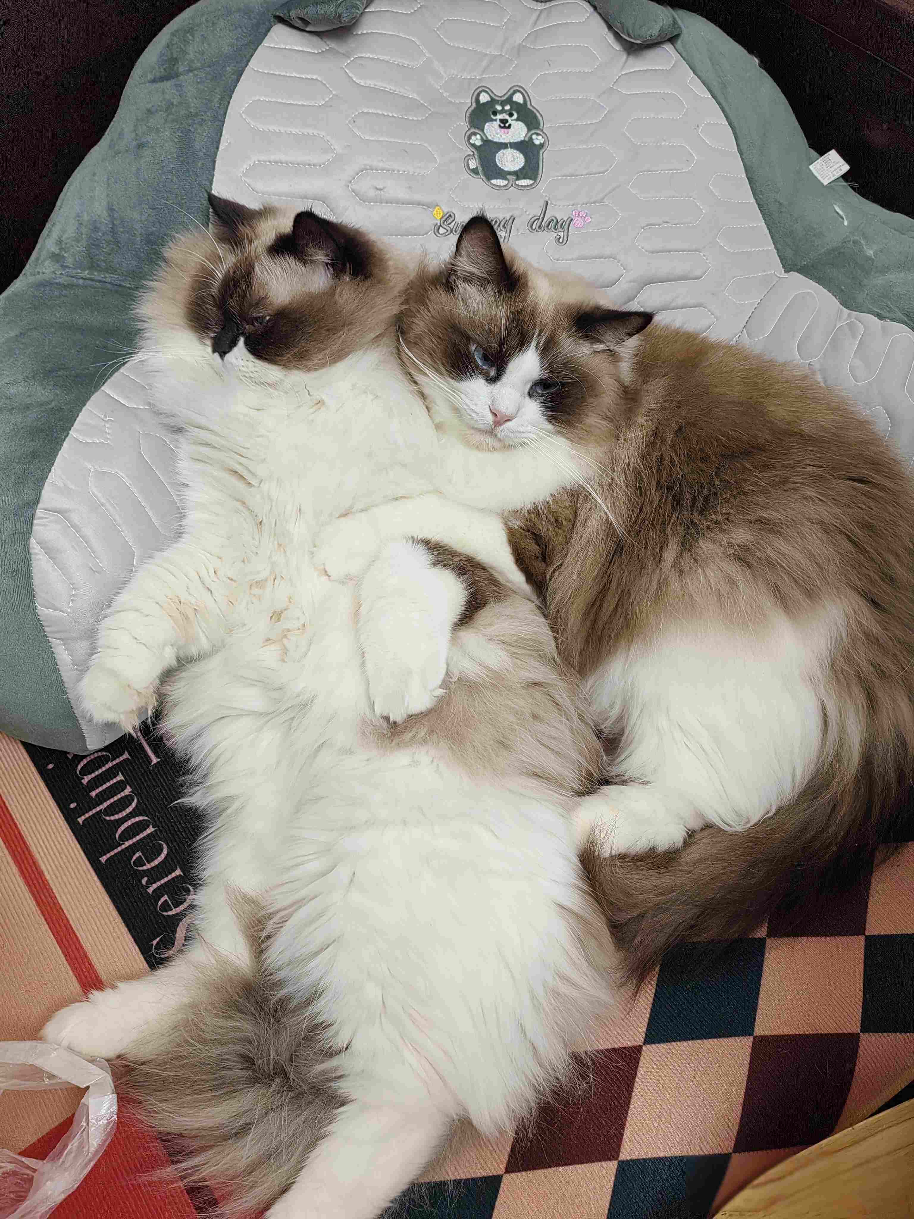 中年夫妻靠&;碰&;维系感情，平淡中见真情，暗藏什么秘密？