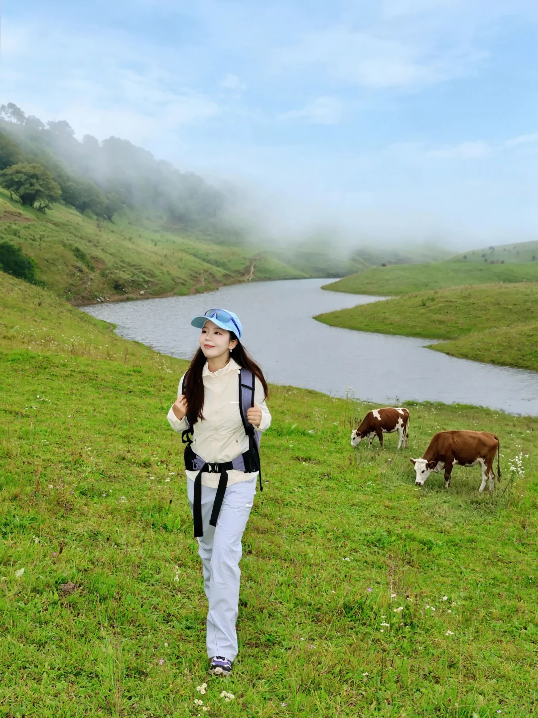 陕渝版“阿勒泰”高山草甸⛰️免费！人少！景美！