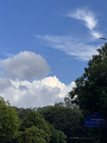搬离了华侨城来到了莲花山附近<br />一年时间也太快过去了