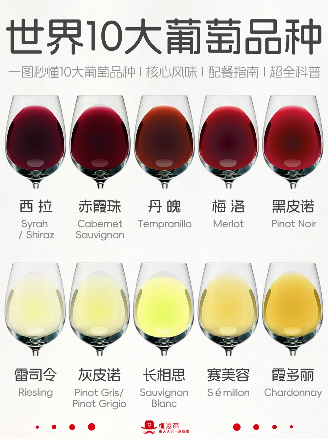 一图秒懂葡萄品种🍇看这篇就够了✅收藏！