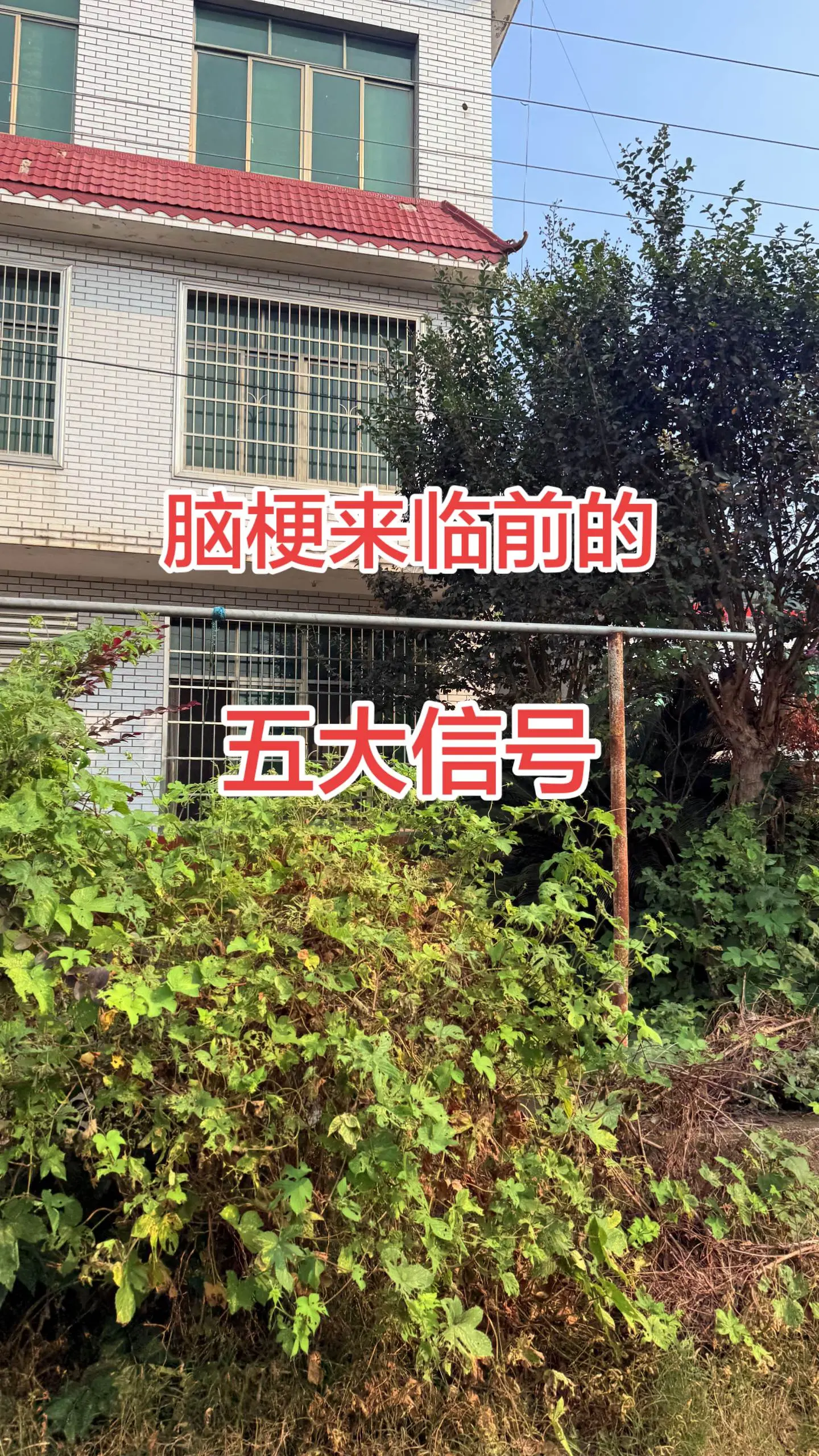 马刺还是太年轻了，关键失误&amp;绝对杀不中，马刺主场再负尼克斯，文班亚马 文班亚马错失绝杀 尼克斯105比104险胜马刺  尼克斯2比0马刺