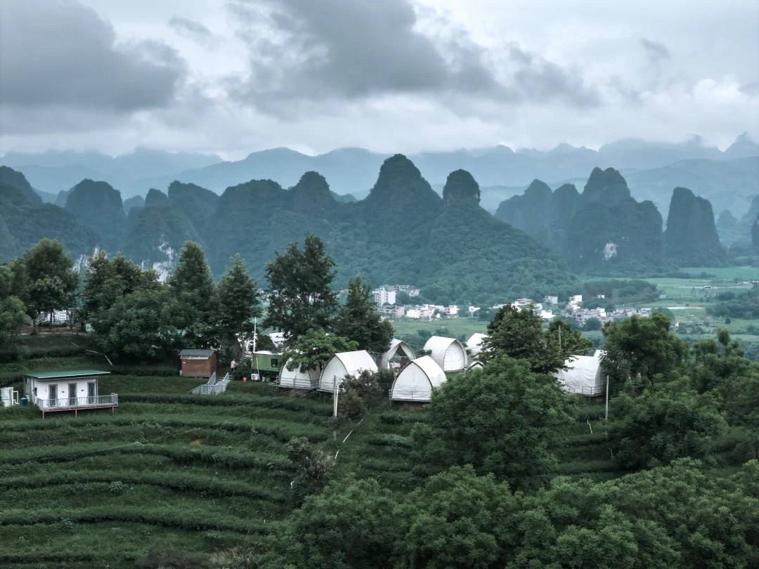 清远最美的茶园T3