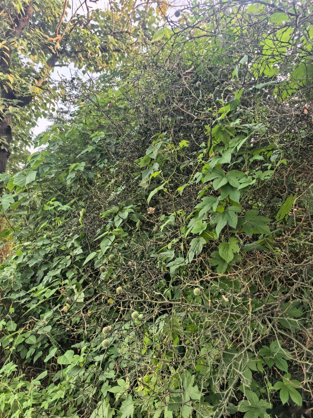 ​​​