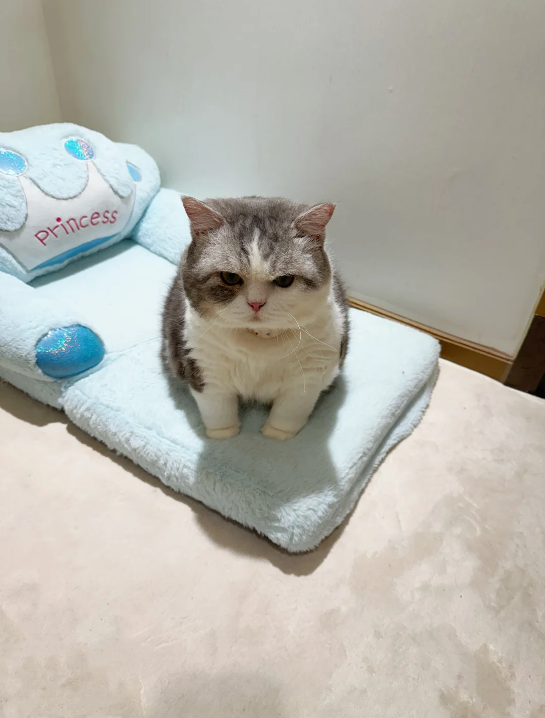 5分钟没放饭就这样