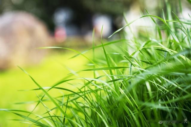 老伴有三大忌，犯一字，晚年注定孤独；全犯，夫妻难相守