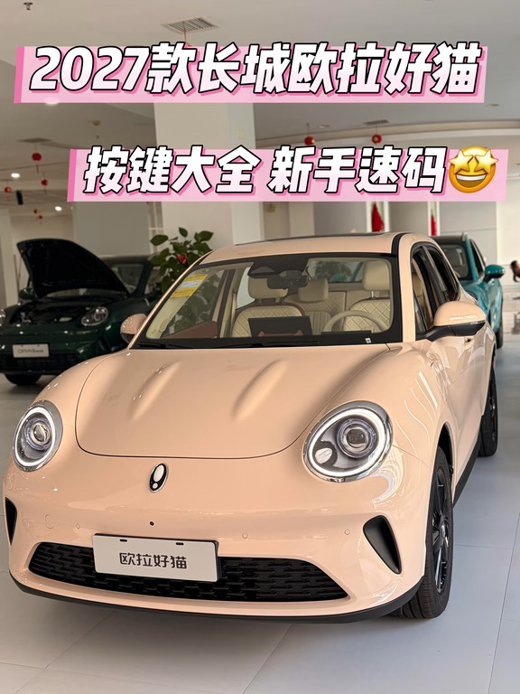 2027款长城欧拉好猫按键大全✅新手速码‼️