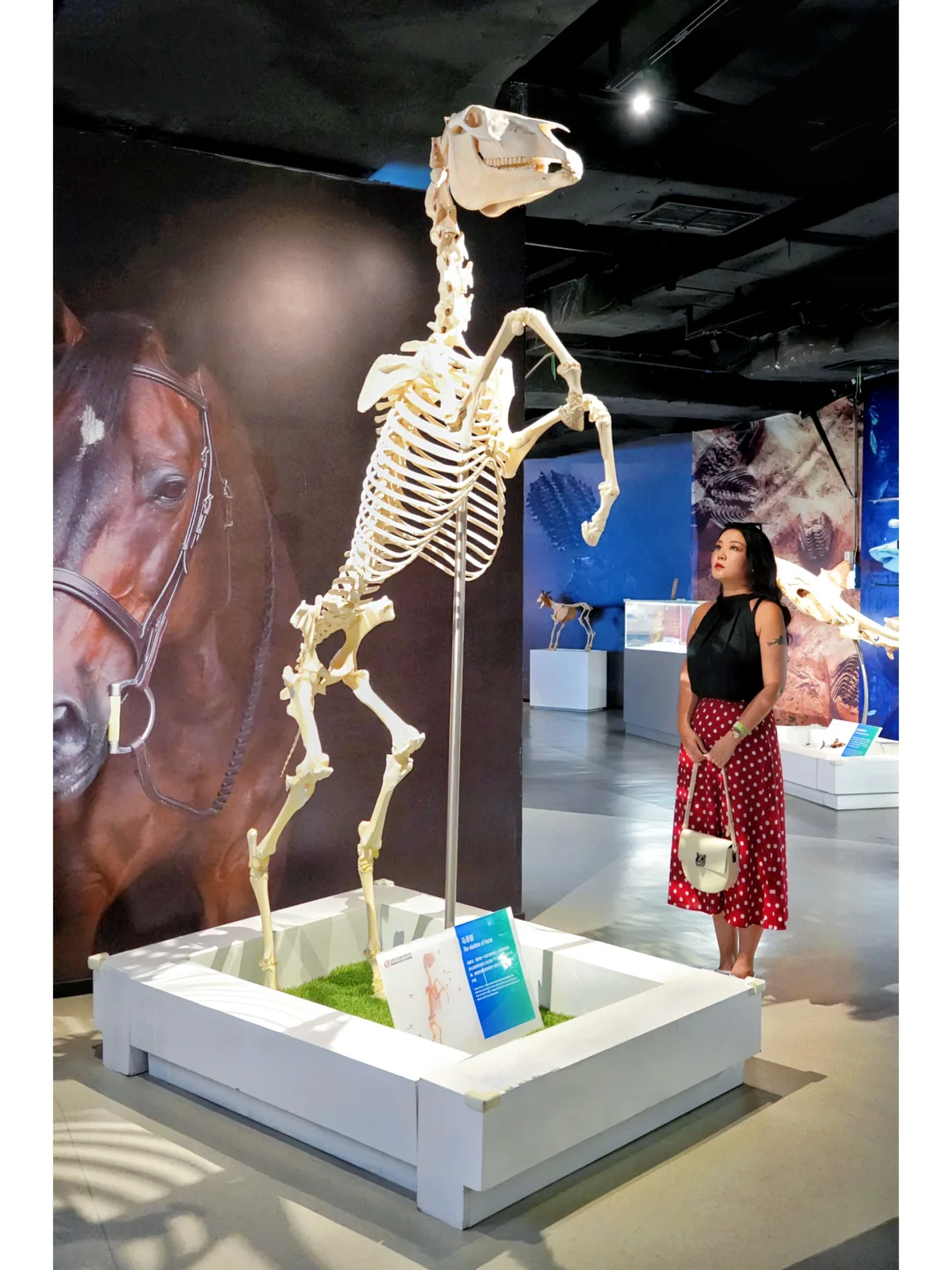 成都值得一去的小众博物馆｜探索生命的奥秘