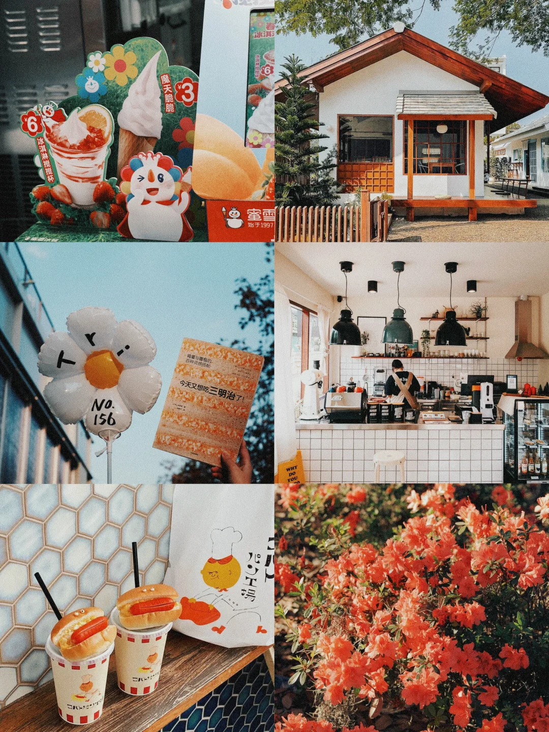 日常记录📝又找到了免费🆓又好看的滤镜