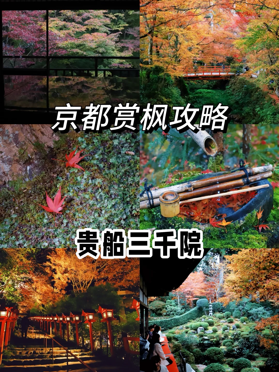 京都赏枫攻略3：三千院、琉璃光院、贵船神社