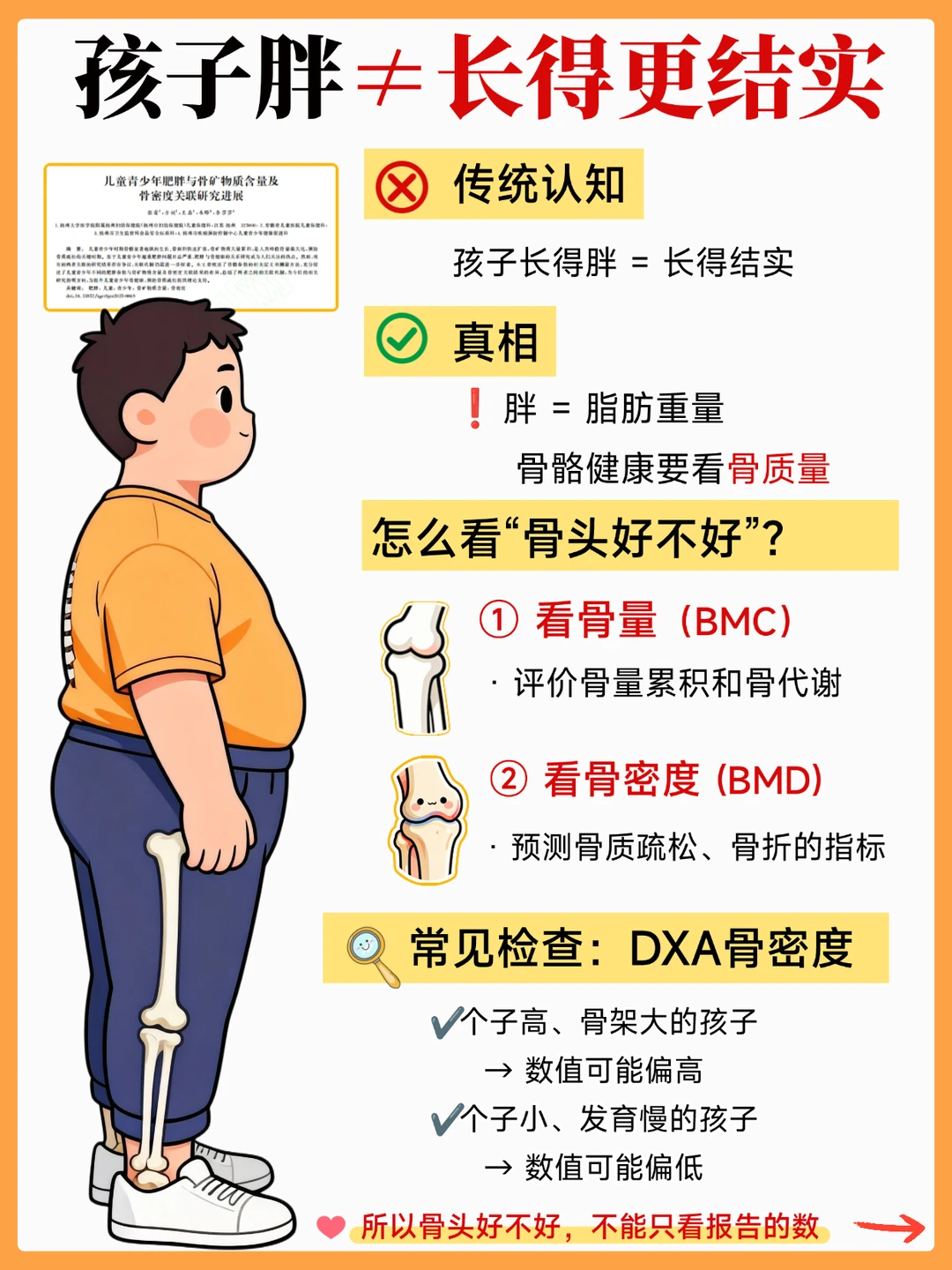 孩子胖≠长得更结实｜家长一定要知道的真相