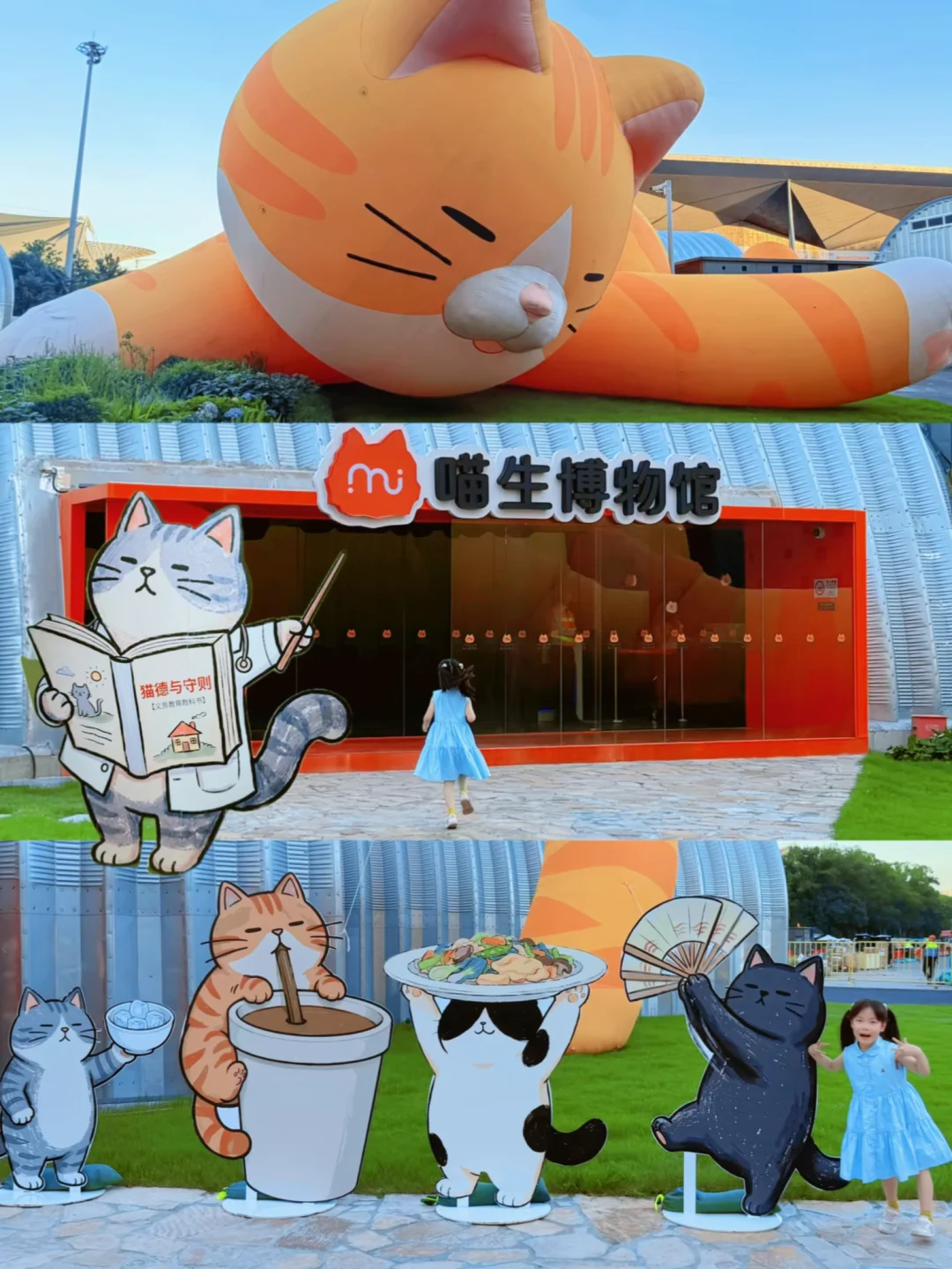 上海新开‼️国内首个🐱博物馆‼️可爱💥