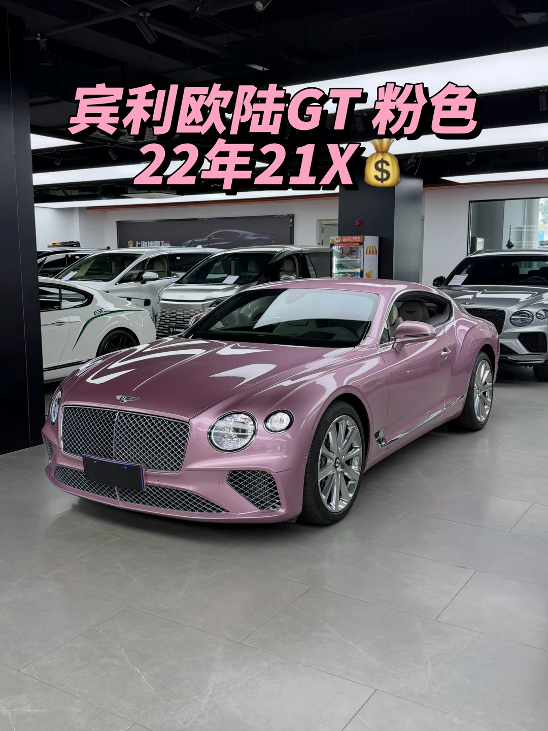 宾利欧陆GT 激情粉/亚麻白深李紫🎀