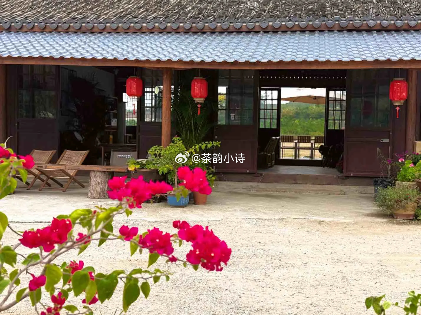 我们不说喝茶，我们说晚风漫过窗棂，说月色落满杯盏，说人间细碎的温柔。 ​​​