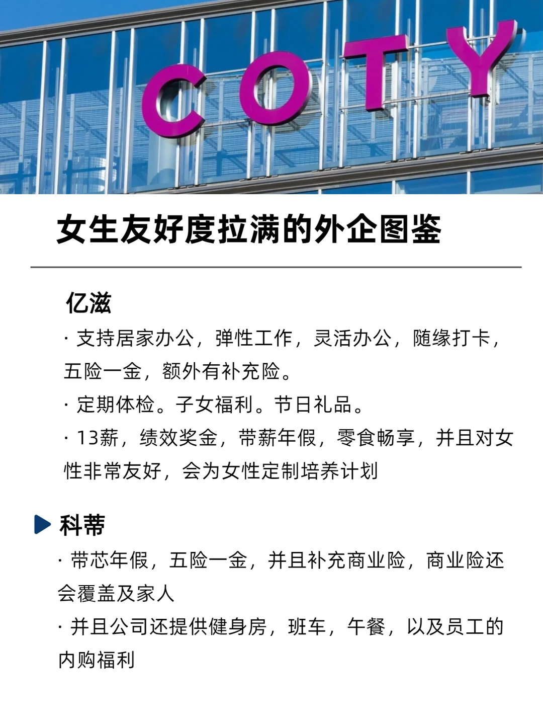 女生友好度拉满的外企