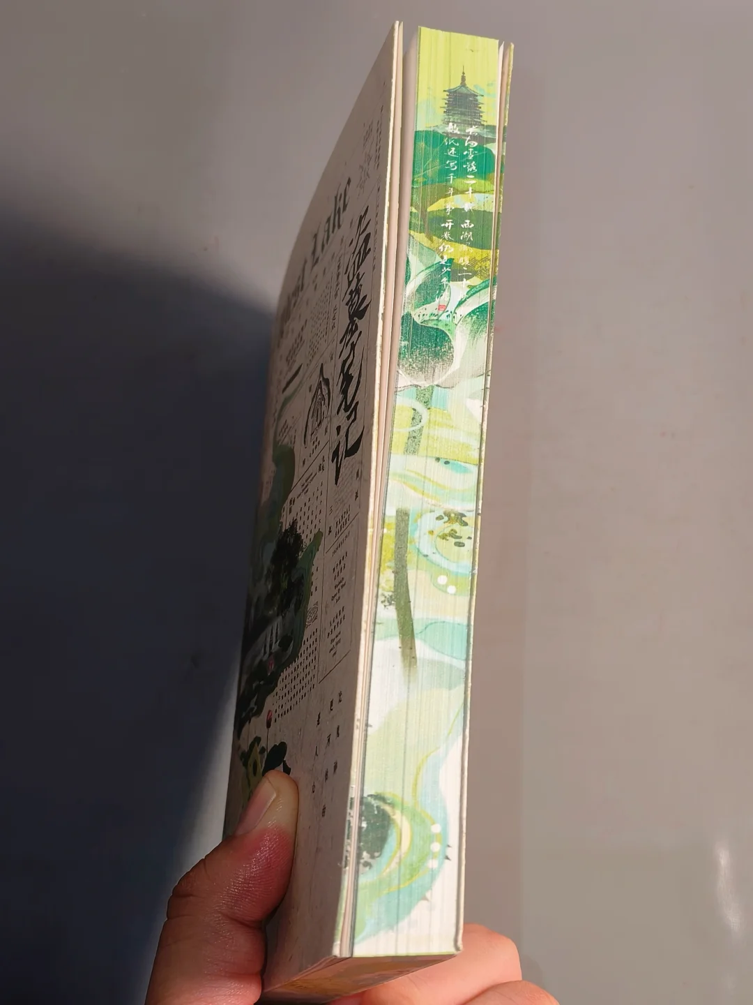 强推！比我今年看过的任何小说都好看一万倍
