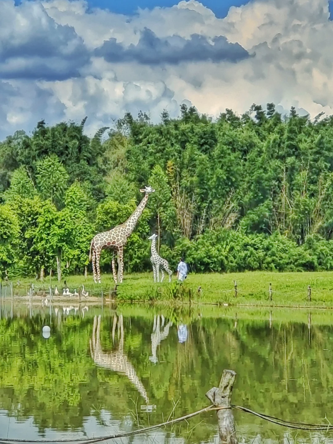 懂夏天的人已经出发，济州岛露营就差你啦
