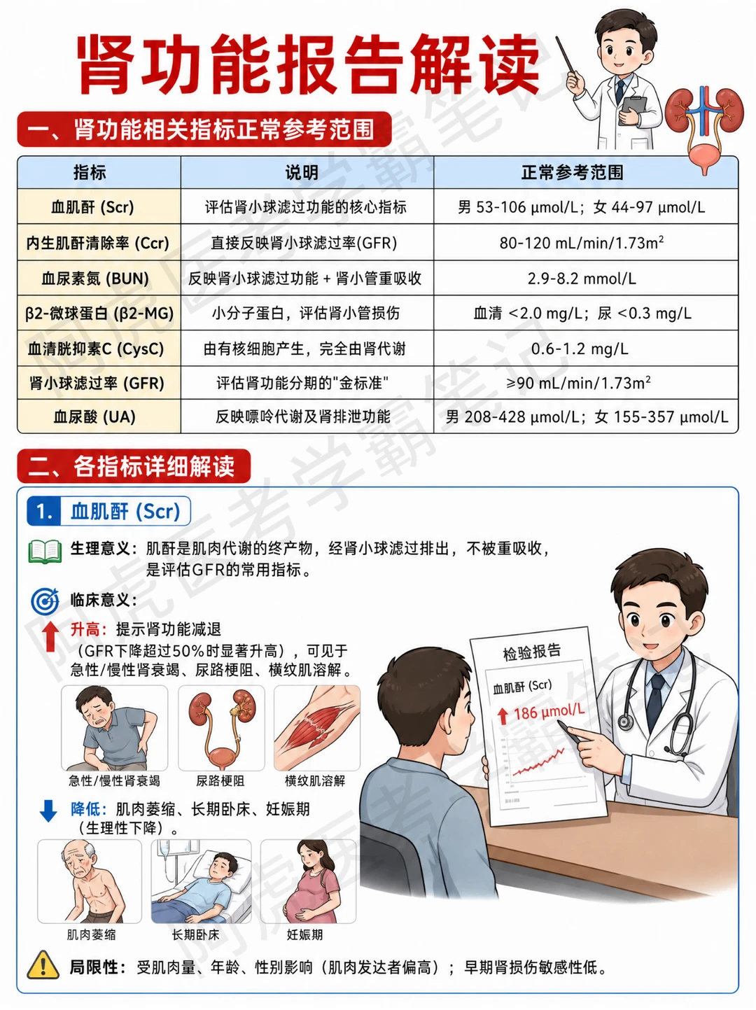阿虎医考笔记📒肾功能报告解读👆