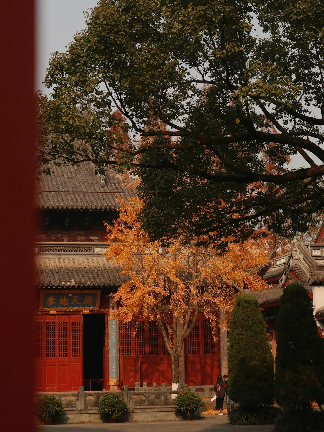 小众景点｜在杭州get故宫同款红与黄⛩
