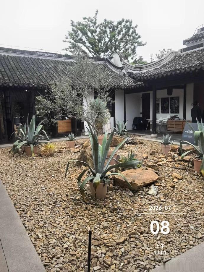 图说【3047】滈园一尺：上海独一份    沪上“一尺花园”茶肆，丙午...