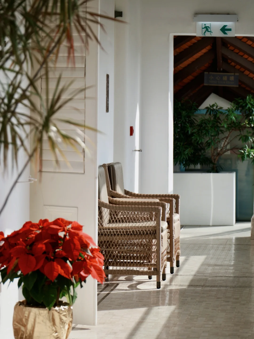 人生建议，来香港一定留2天时间给这里